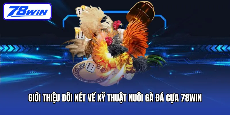 Giới thiệu đôi nét về kỹ thuật nuôi gà đá cựa 78Win