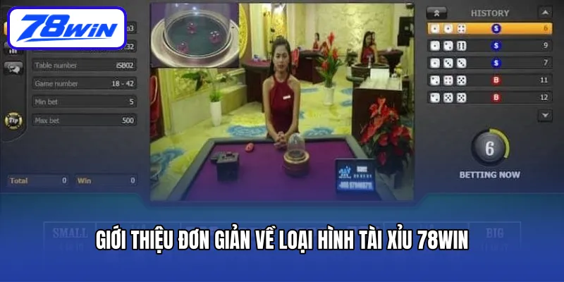Giới thiệu đơn giản về loại hình tài xỉu 78WIN