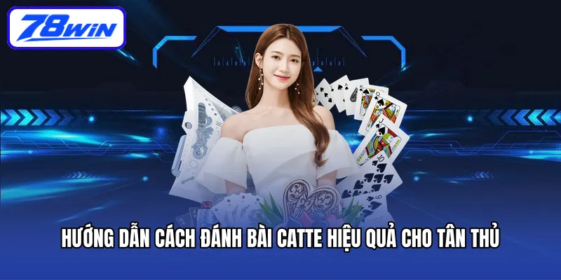 Hướng dẫn cách đánh bài catte hiệu quả cho tân thủ